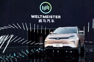 威馬收購汽車租賃公司，布局出行領(lǐng)域的三駕馬車